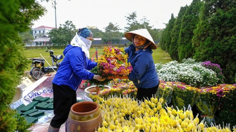 Hanoi village ready for largest flower festival in northern Vietnam